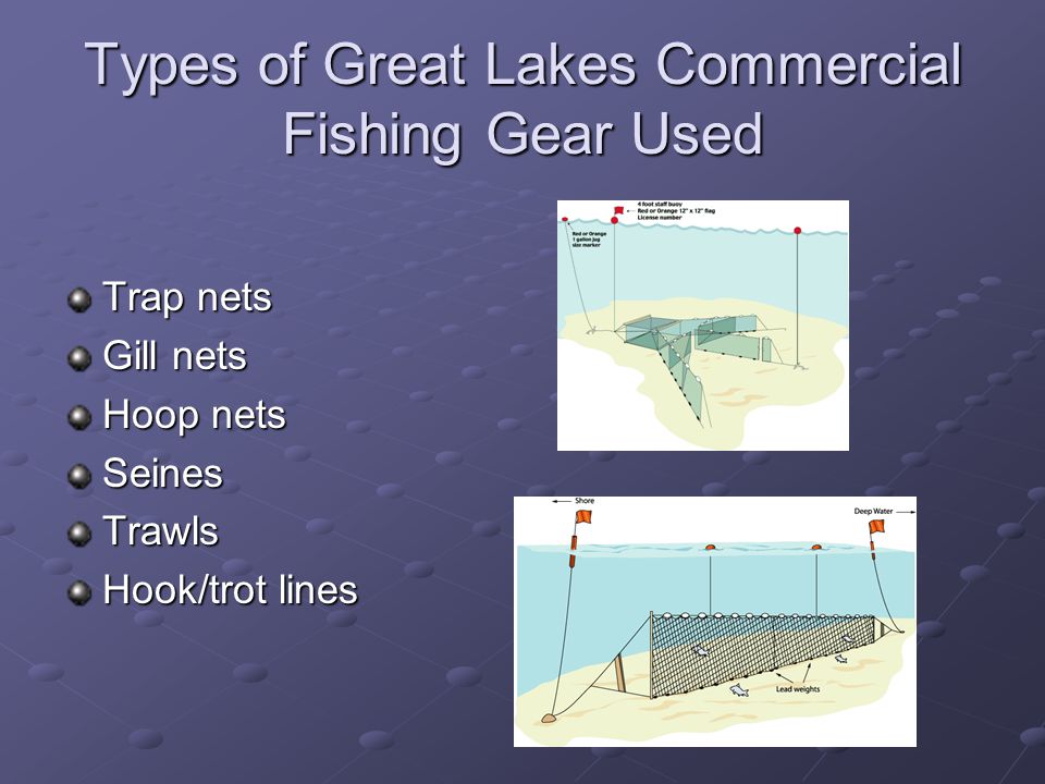 Great Lakes Commercial Fisheries Ronald E. Kinnunen Michigan Sea