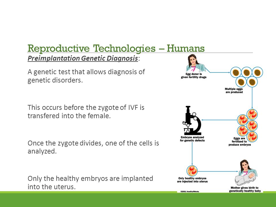 Preimplantation Genetic Diagnosis: A genetic test that allows diagnosis of genetic disorders.