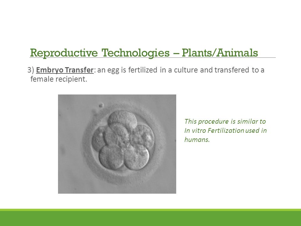 3) Embryo Transfer: an egg is fertilized in a culture and transfered to a female recipient.