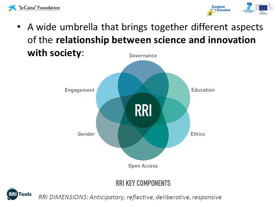 RRI DIMENSIONS: Anticipatory, reflective, deliberative, responsive A wide umbrella that brings together different aspects of the relationship between science and innovation with society: