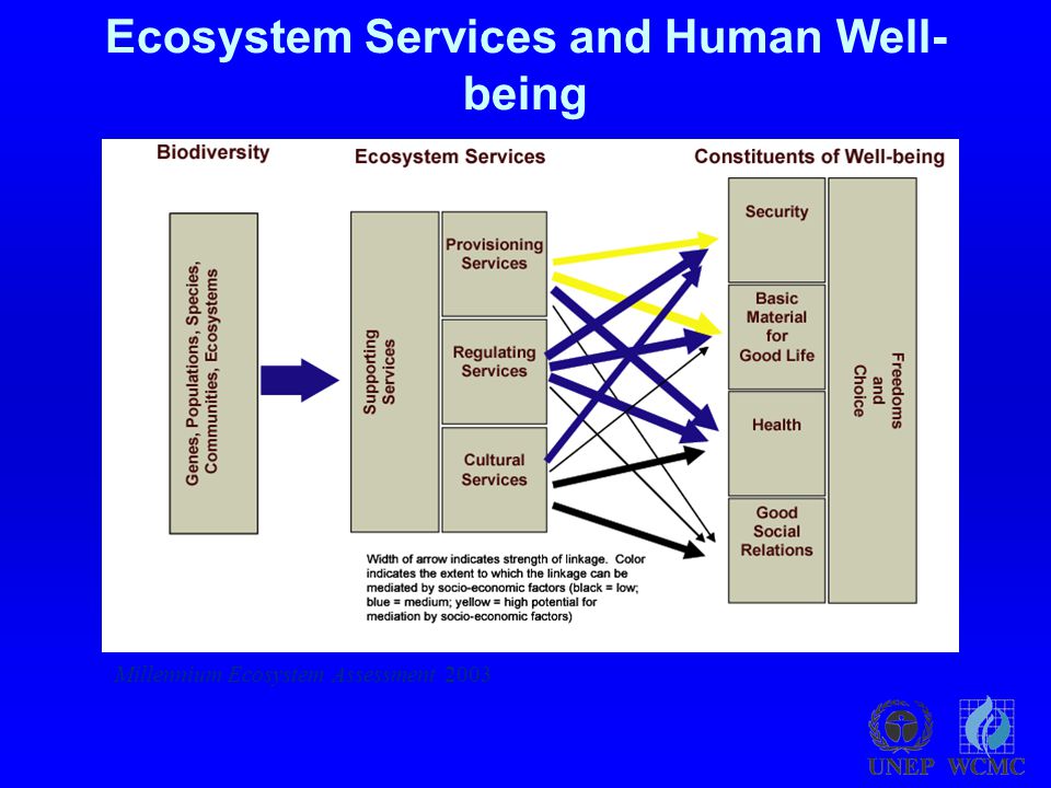 Ecosystem Services and Human Well- being Millennium Ecosystem Assessment 2003