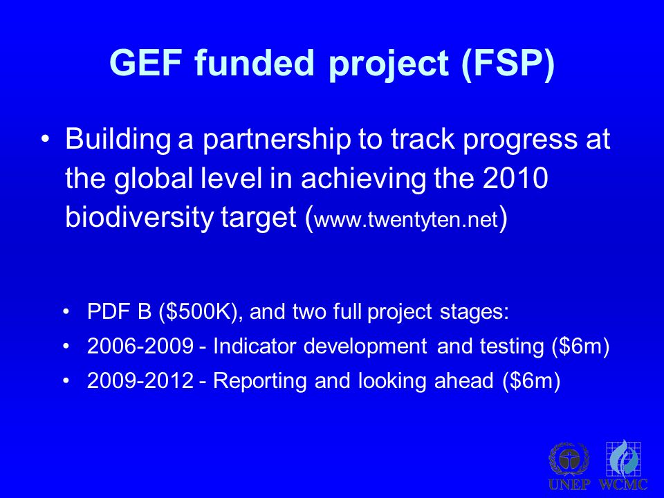 GEF funded project (FSP) Building a partnership to track progress at the global level in achieving the 2010 biodiversity target (   ) PDF B ($500K), and two full project stages: Indicator development and testing ($6m) Reporting and looking ahead ($6m)