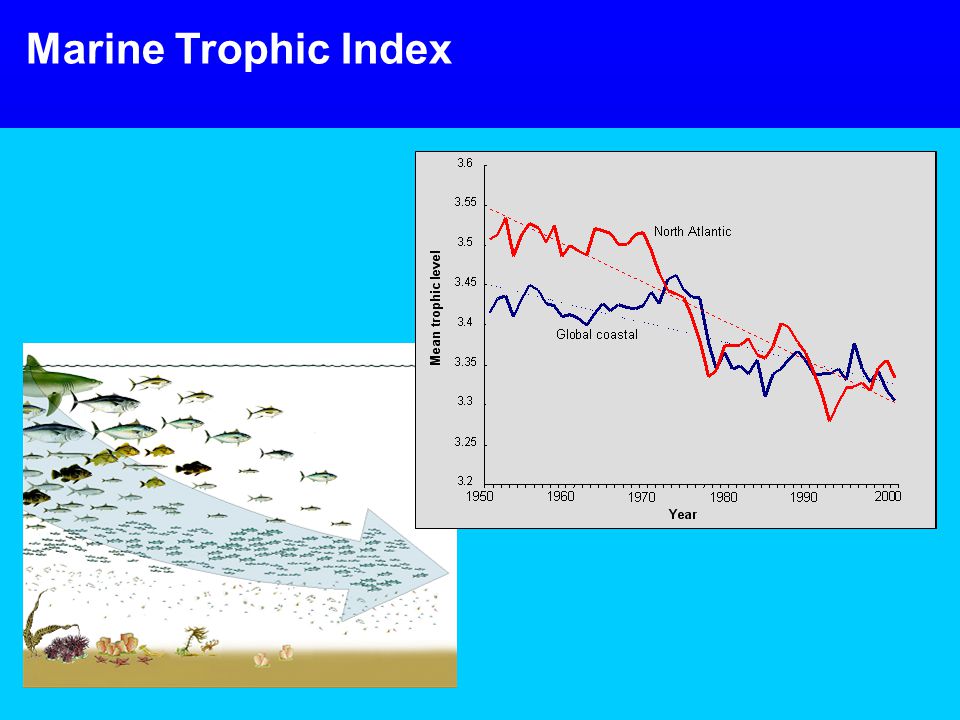 Marine Trophic Index