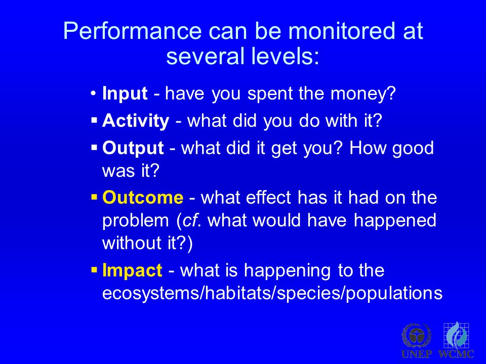 Performance can be monitored at several levels: Input - have you spent the money.