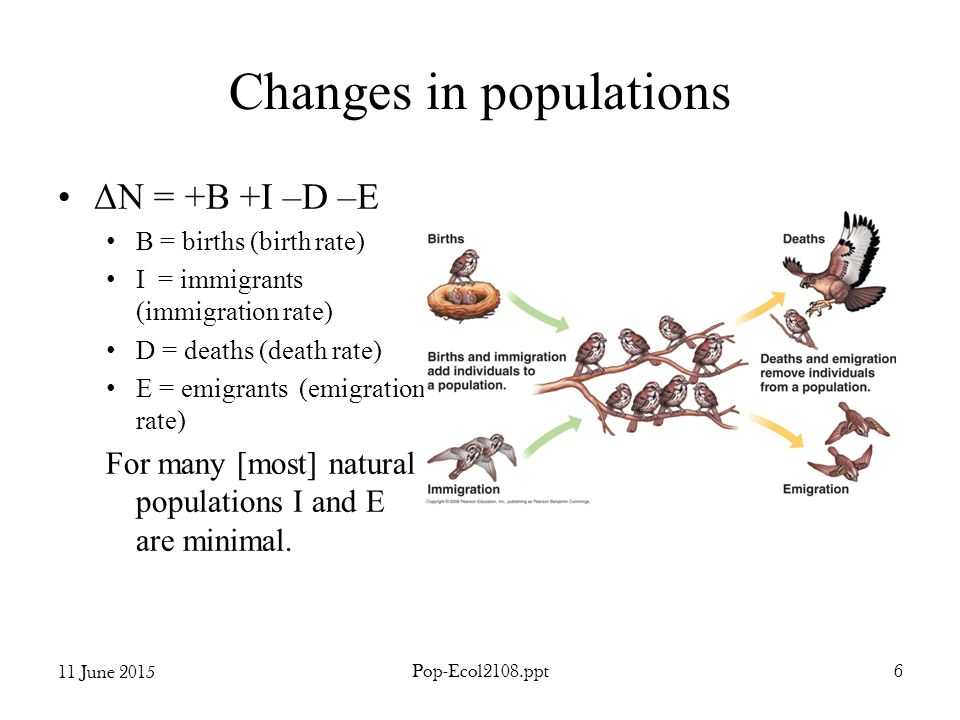 Changes in populations ΔN = +B +I –D –E B = births (birth rate) I = immigrants (immigration rate) D = deaths (death rate) E = emigrants (emigration rate) For many [most] natural populations I and E are minimal.