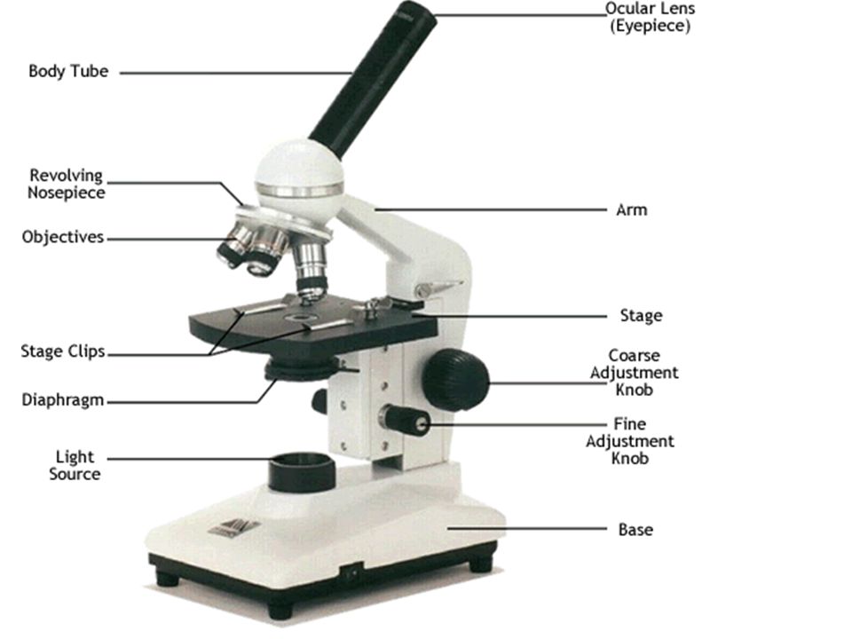 different parts of a light microscope