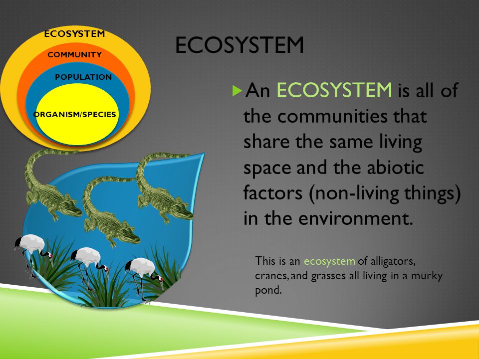 ECOSYSTEM  An ECOSYSTEM is all of the communities that share the same living space and the abiotic factors (non-living things) in the environment.