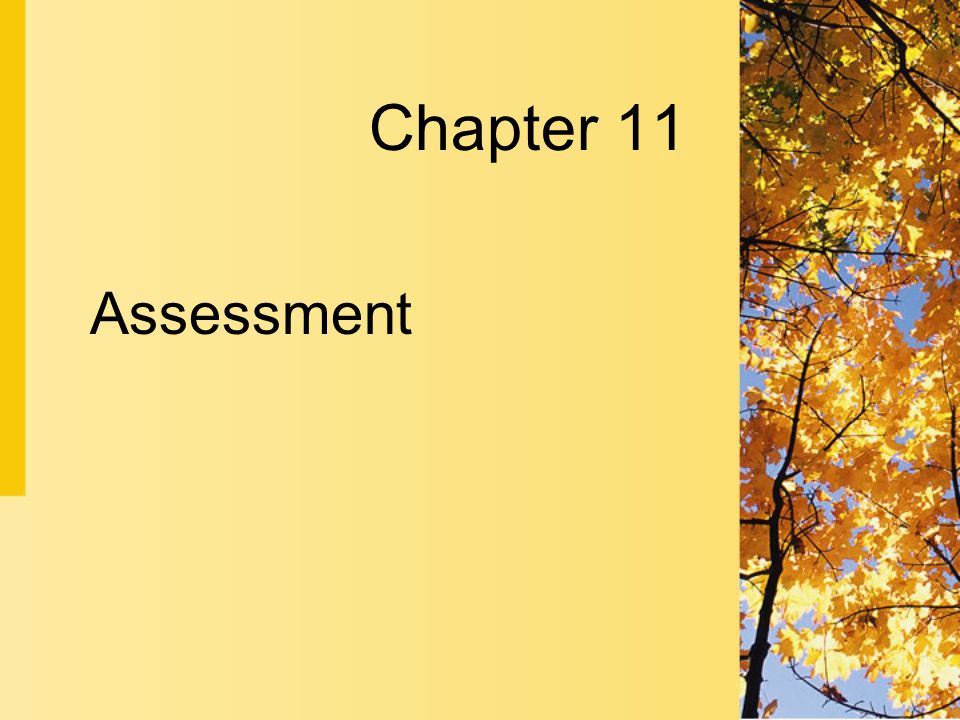 Assessment Chapter 11