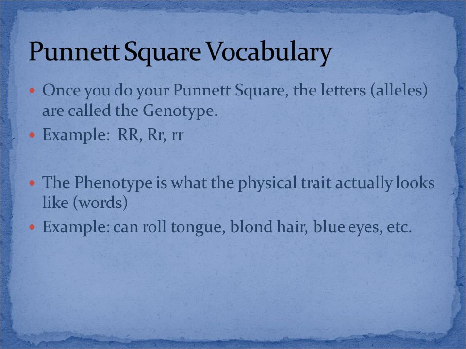 Once you do your Punnett Square, the letters (alleles) are called the Genotype.