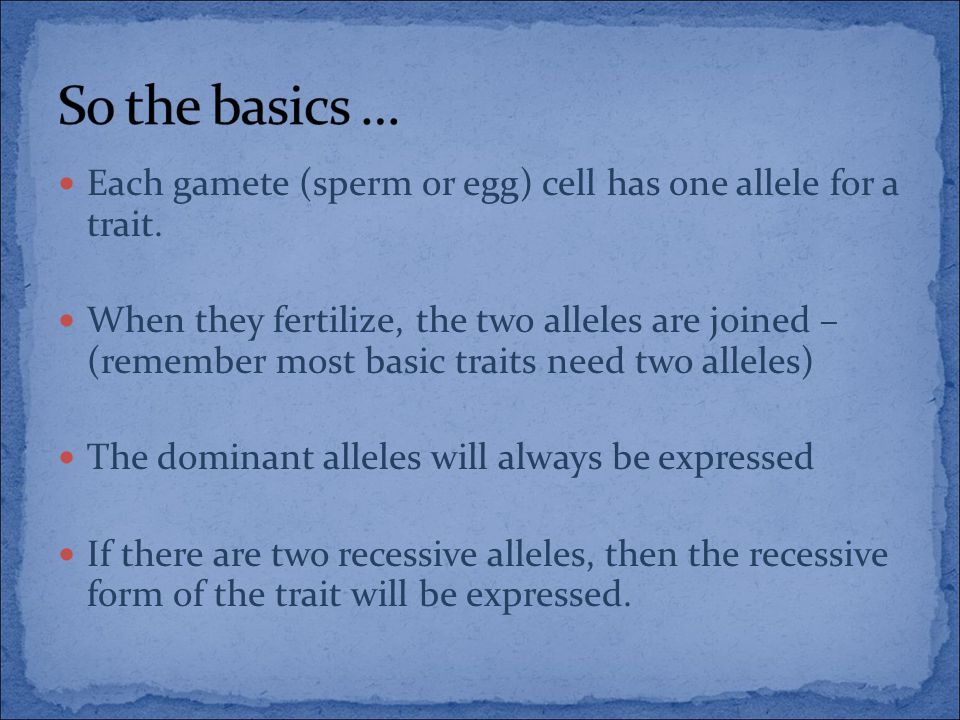 Each gamete (sperm or egg) cell has one allele for a trait.