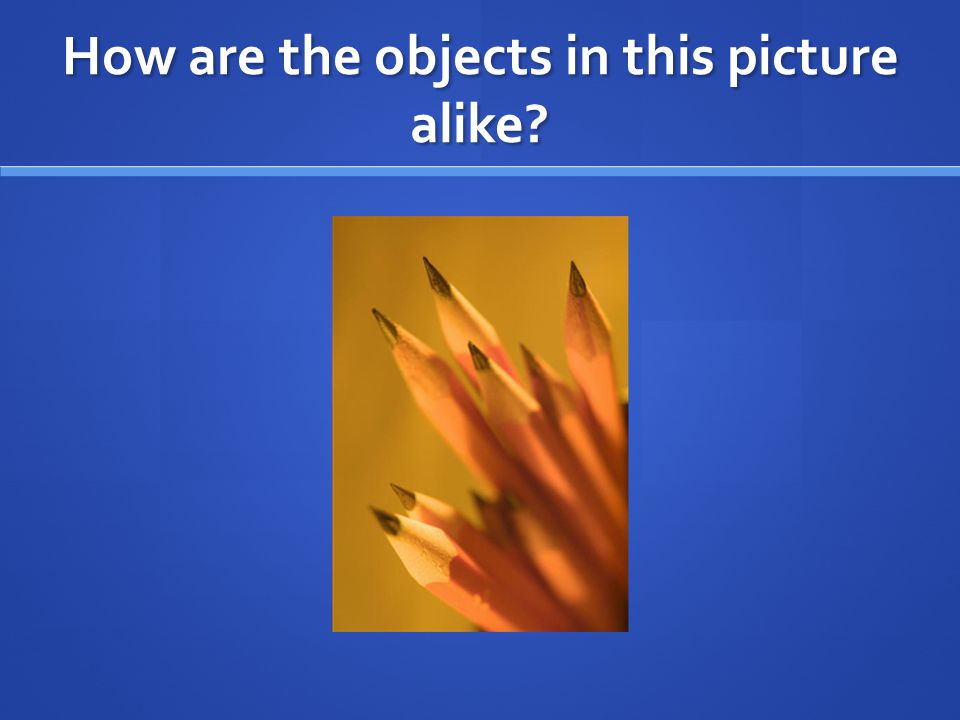 How are the objects in this picture alike