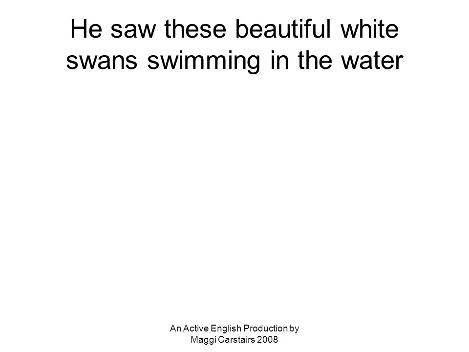 An Active English Production by Maggi Carstairs 2008 He saw these beautiful white swans swimming in the water