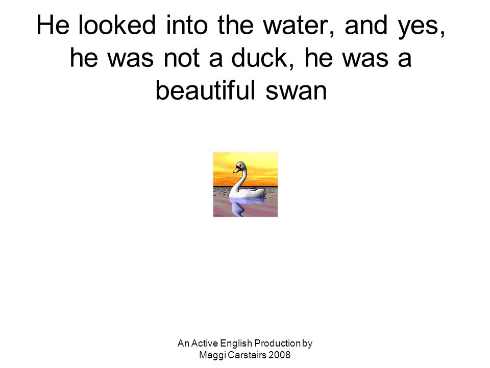 An Active English Production by Maggi Carstairs 2008 He looked into the water, and yes, he was not a duck, he was a beautiful swan