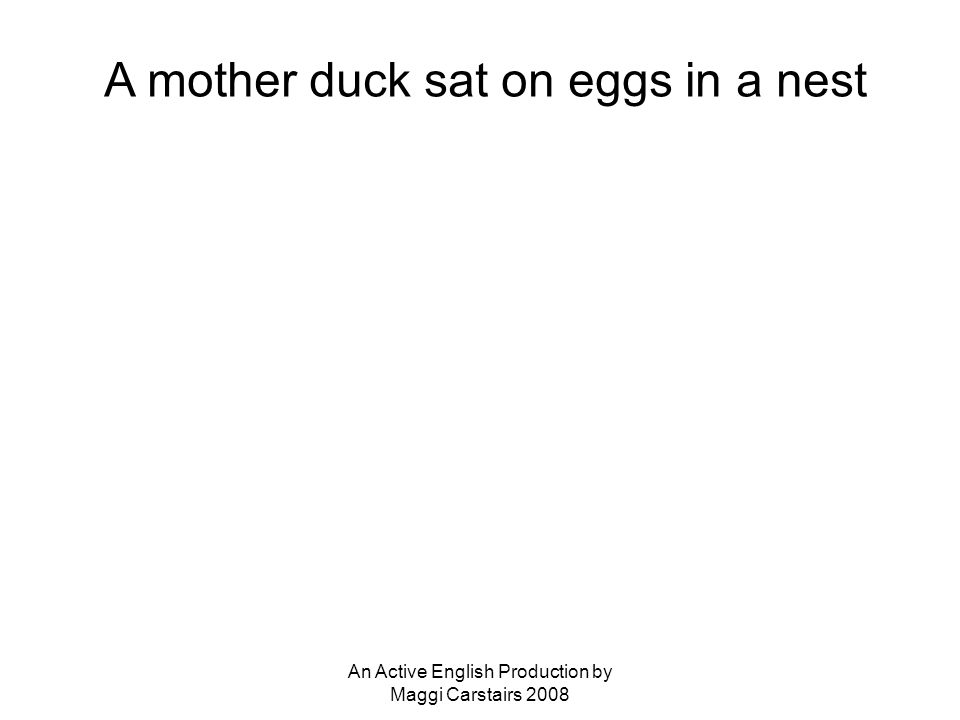 An Active English Production by Maggi Carstairs 2008 A mother duck sat on eggs in a nest