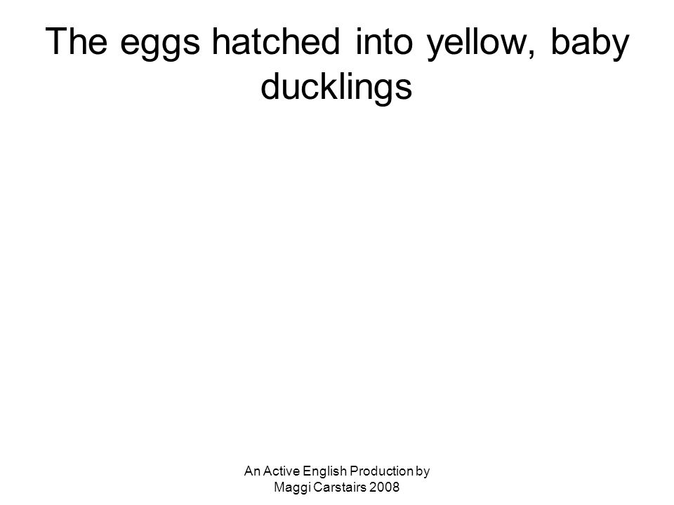 An Active English Production by Maggi Carstairs 2008 The eggs hatched into yellow, baby ducklings