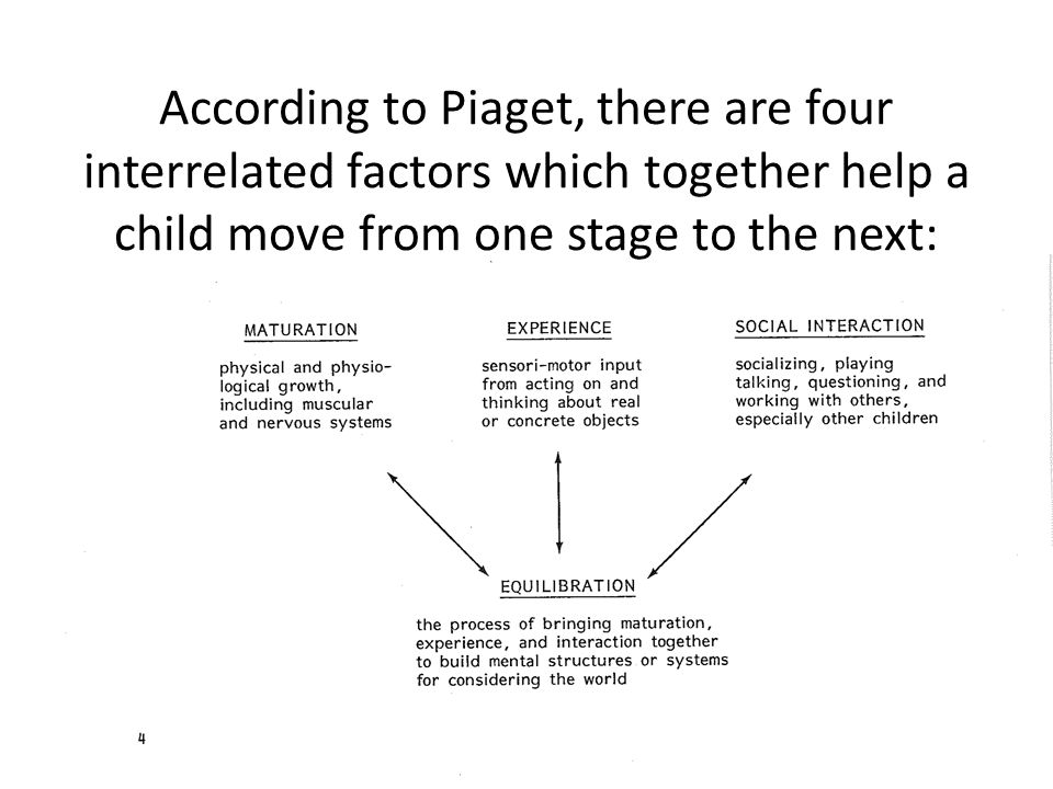According to Piaget, there are four interrelated factors which together help a child move from one stage to the next: