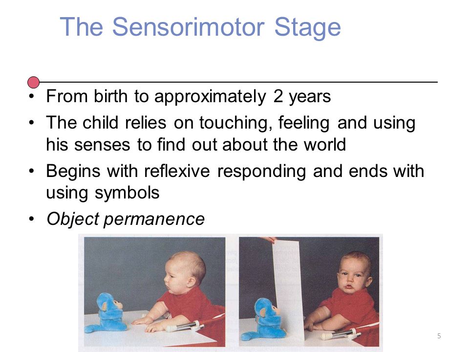 The Sensorimotor Stage From birth to approximately 2 years The child relies on touching, feeling and using his senses to find out about the world Begins with reflexive responding and ends with using symbols Object permanence 5