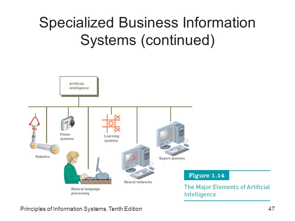 Specialized Business Information Systems (continued) Principles of Information Systems, Tenth Edition47