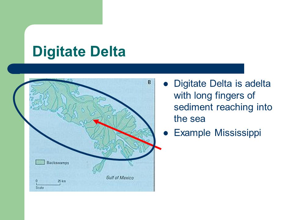 Digitate Delta Digitate Delta is adelta with long fingers of sediment reaching into the sea Example Mississippi