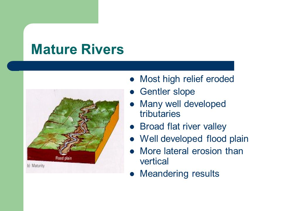 Mature Rivers Most high relief eroded Gentler slope Many well developed tributaries Broad flat river valley Well developed flood plain More lateral erosion than vertical Meandering results