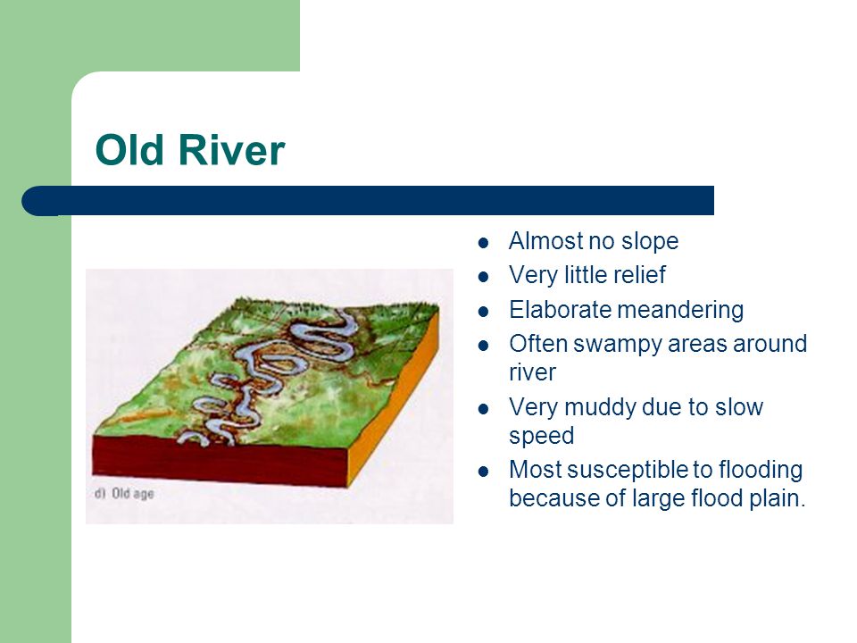 Old River Almost no slope Very little relief Elaborate meandering Often swampy areas around river Very muddy due to slow speed Most susceptible to flooding because of large flood plain.