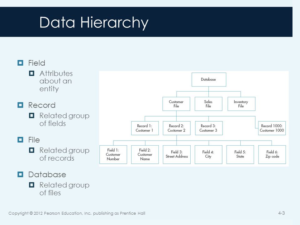 Data Hierarchy  Field  Attributes about an entity  Record  Related group of fields  File  Related group of records  Database  Related group of files Copyright © 2012 Pearson Education, Inc.