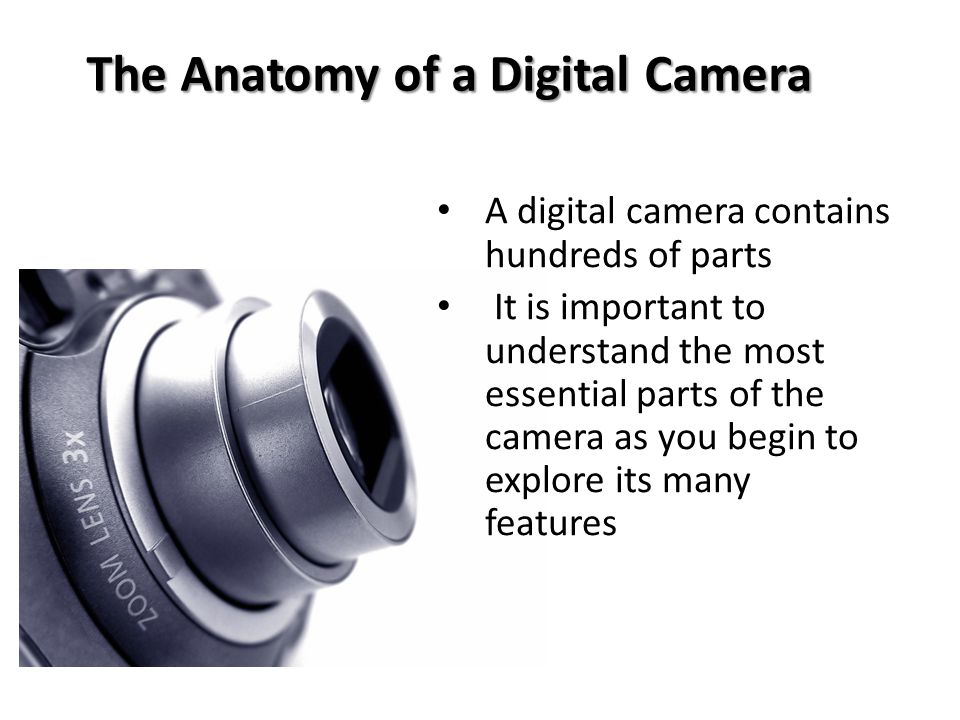 The Anatomy of a Digital Camera A digital camera contains hundreds of parts It is important to understand the most essential parts of the camera as you begin to explore its many features