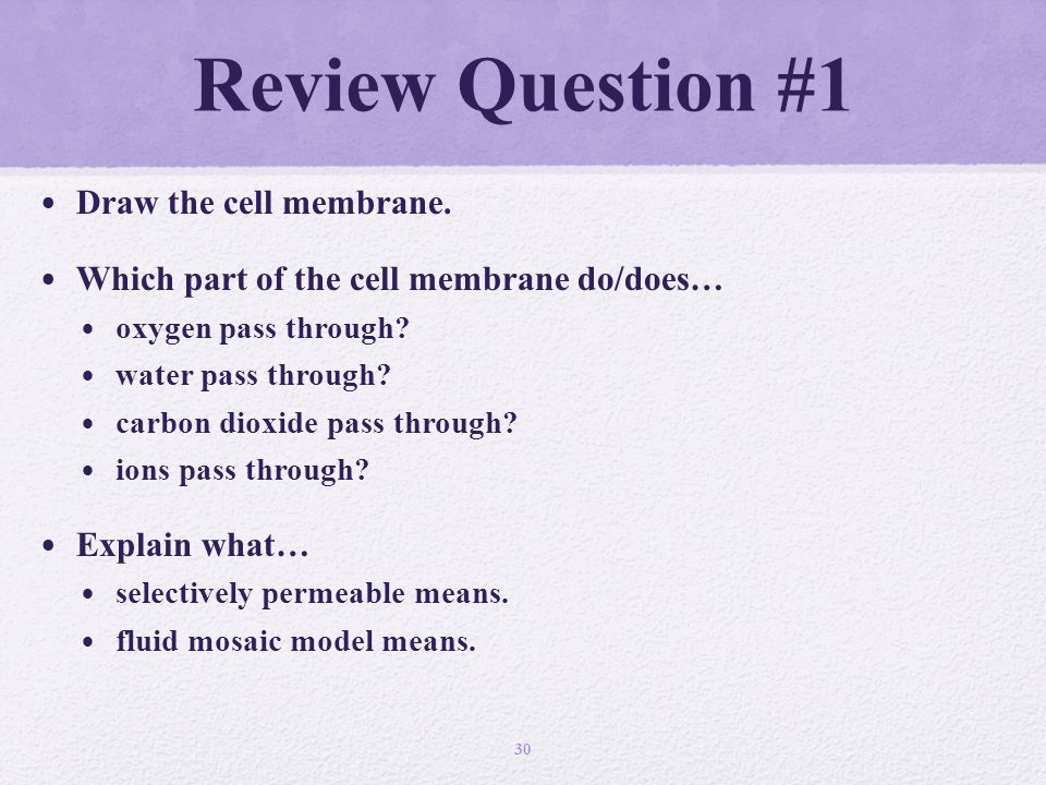 Review Question #1 Draw the cell membrane.
