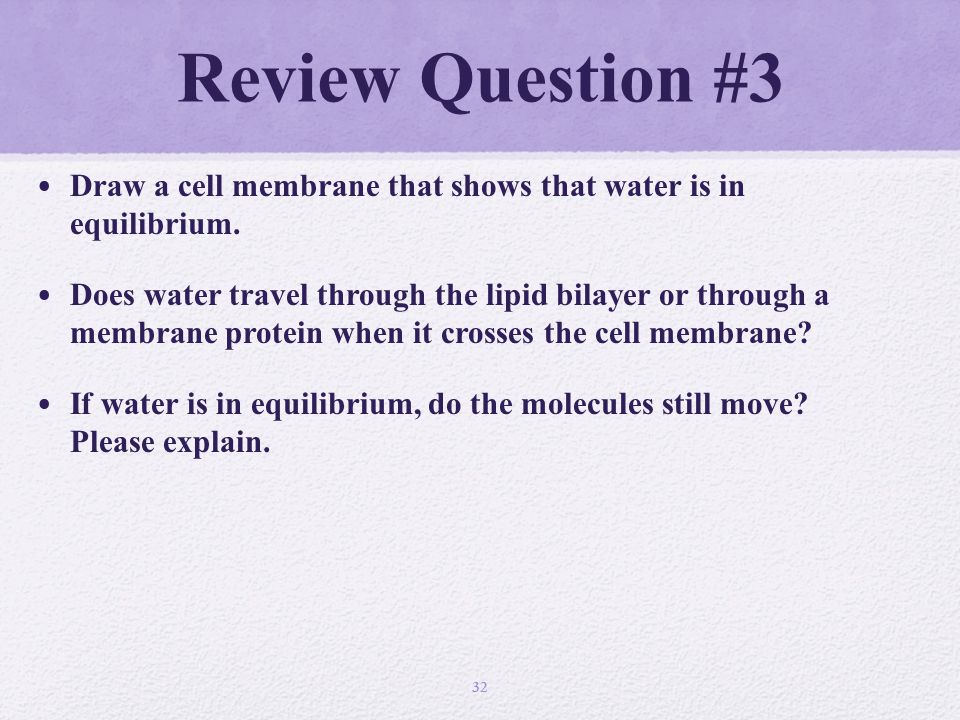 Review Question #3 Draw a cell membrane that shows that water is in equilibrium.