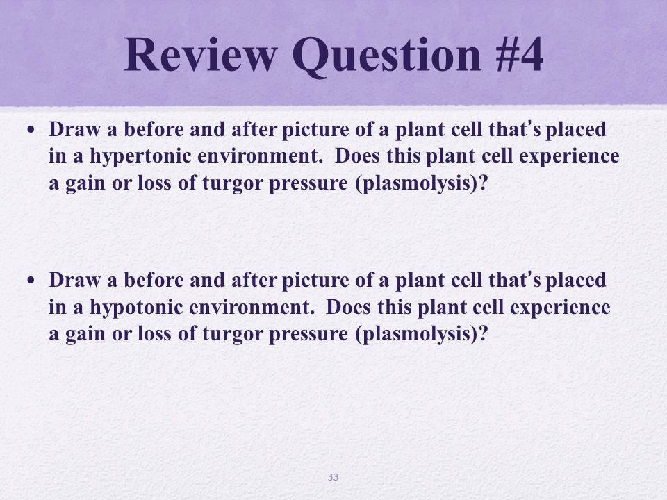 Review Question #4 Draw a before and after picture of a plant cell that’s placed in a hypertonic environment.