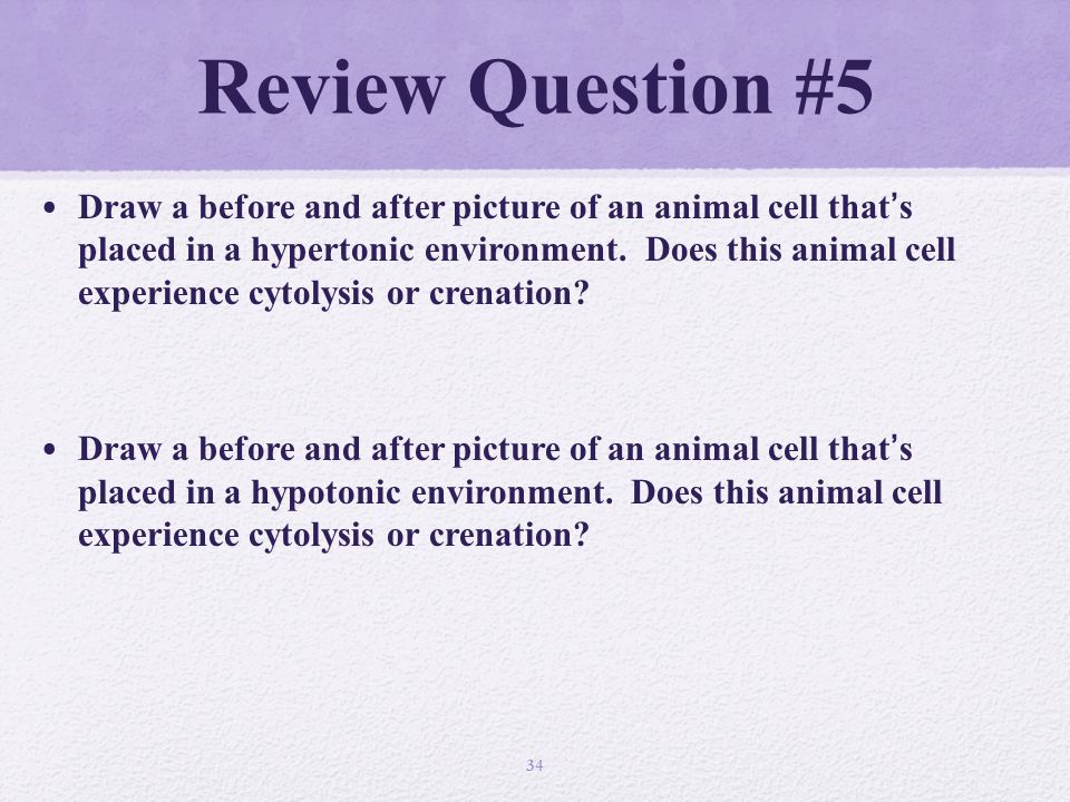 Review Question #5 Draw a before and after picture of an animal cell that’s placed in a hypertonic environment.