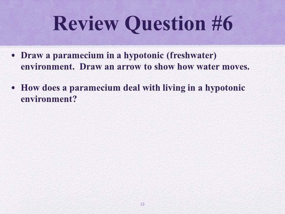 Review Question #6 Draw a paramecium in a hypotonic (freshwater) environment.