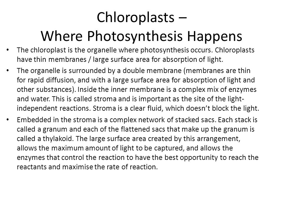 The chloroplast is the organelle where photosynthesis occurs.
