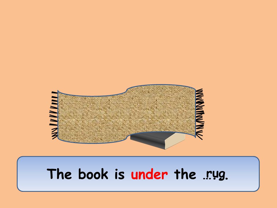 The book is under the …... rug