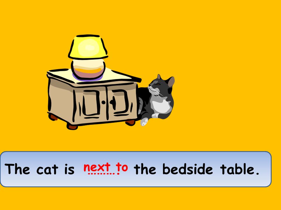 The cat is ………. the bedside table. next to