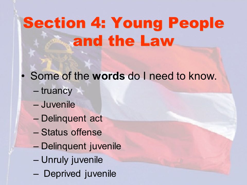 Section 4: Young People and the Law Some of the words do I need to know.