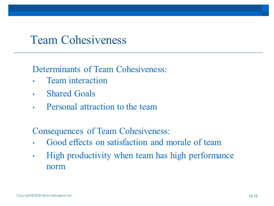 Team Cohesiveness Copyright © 2009 Nelson Education Ltd.