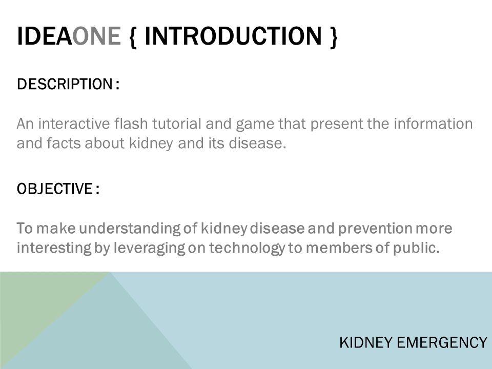 interactive flash game tutorial Re-look at kidney discovery center eye visual co. Ppt download.
