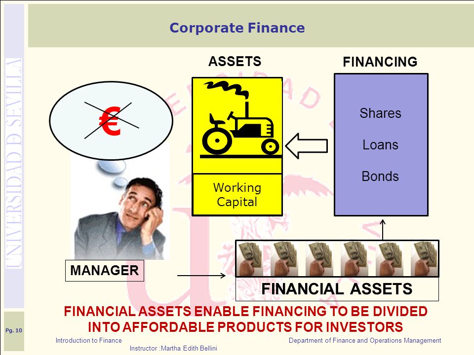 Introduction to Finance Department of Finance and Operations Management Instructor :Martha Edith Bellini Working Capital Shares Loans Bonds MANAGER FINANCING ASSETS € FINANCIAL ASSETS ENABLE FINANCING TO BE DIVIDED INTO AFFORDABLE PRODUCTS FOR INVESTORS Pg.