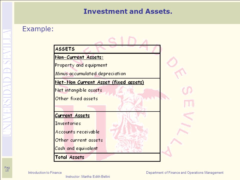 Introduction to Finance Department of Finance and Operations Management Instructor :Martha Edith Bellini Pag 15 Investment and Assets.