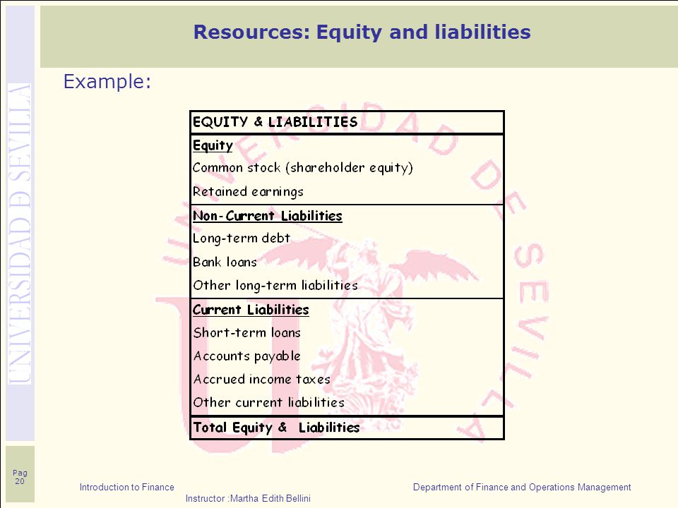 Introduction to Finance Department of Finance and Operations Management Instructor :Martha Edith Bellini Pag 20 Example: Resources: Equity and liabilities