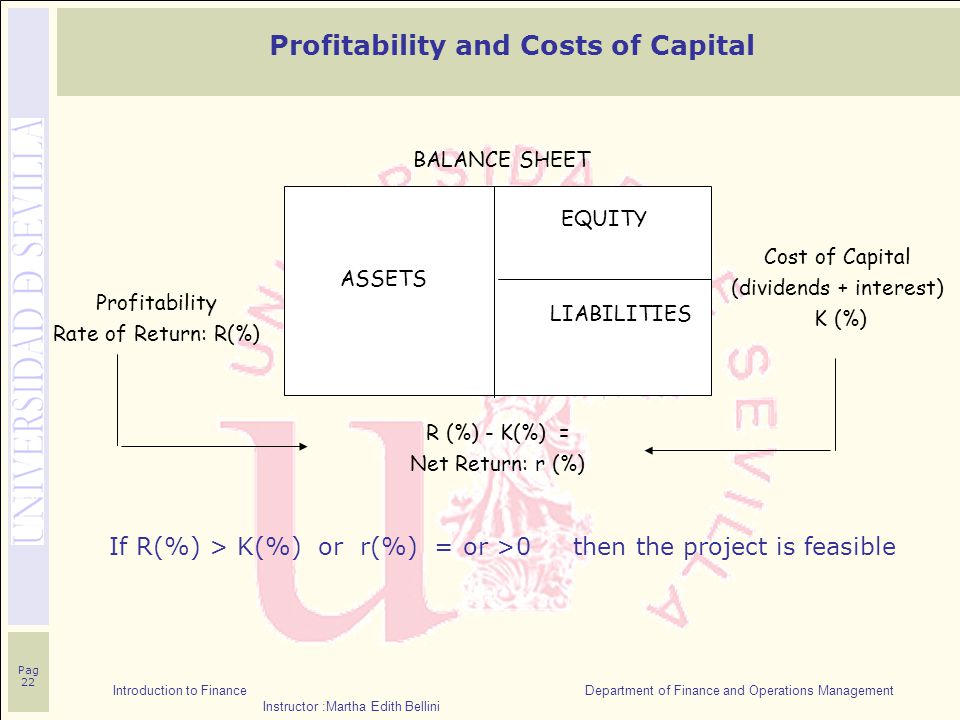 Introduction to Finance Department of Finance and Operations Management Instructor :Martha Edith Bellini Pag 22 If R(%) > K(%) or r(%) = or >0 then the project is feasible Profitability and Costs of Capital Profitability Rate of Return: R(%) Cost of Capital (dividends + interest) K (%) ASSETS BALANCE SHEET EQUITY LIABILITIES R (%) - K(%) = Net Return: r (%)
