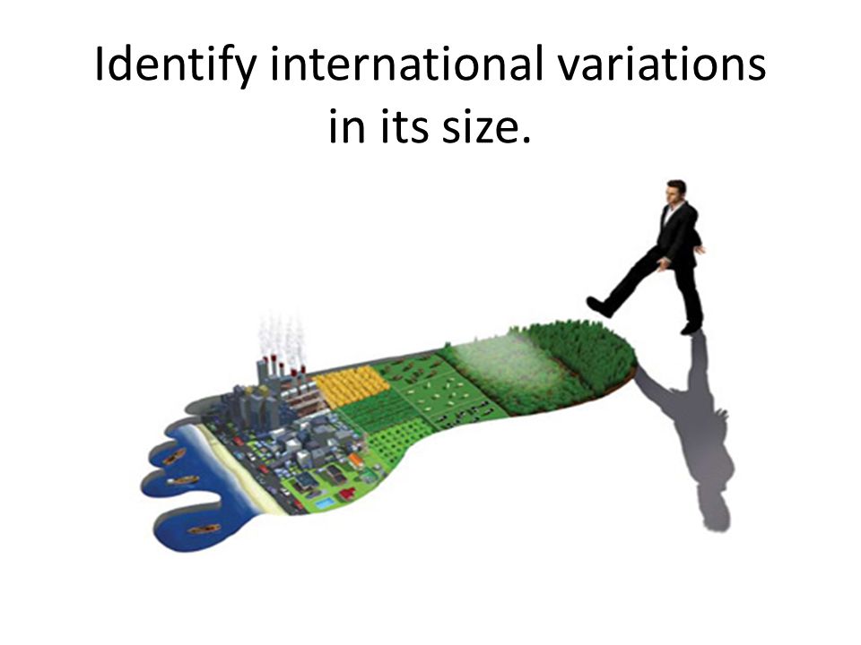Identify international variations in its size.