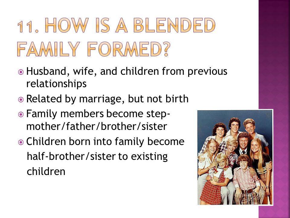  Husband, wife, and children from previous relationships  Related by marriage, but not birth  Family members become step- mother/father/brother/sister  Children born into family become half-brother/sister to existing children