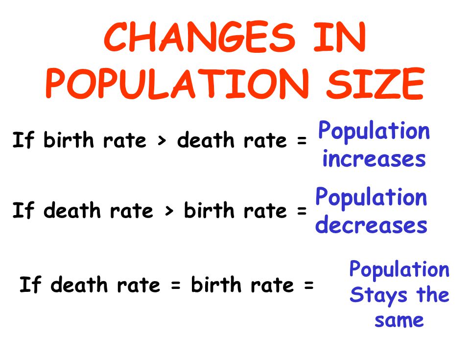 CHANGES IN POPULATION SIZE If birth rate > death rate = If death rate > birth rate = Population increases Population decreases If death rate = birth rate = Population Stays the same