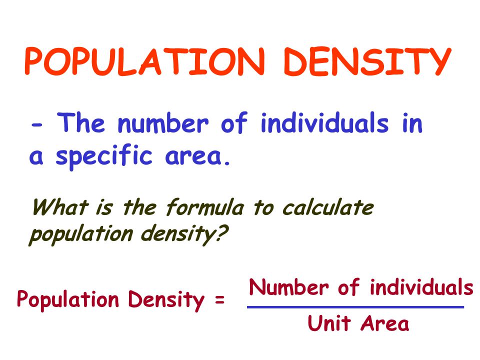 POPULATION DENSITY - The number of individuals in a specific area.
