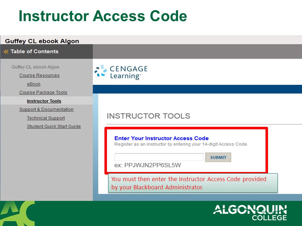 Instructor Access Code You must then enter the Instructor Access Code provided by your Blackboard Administrator.