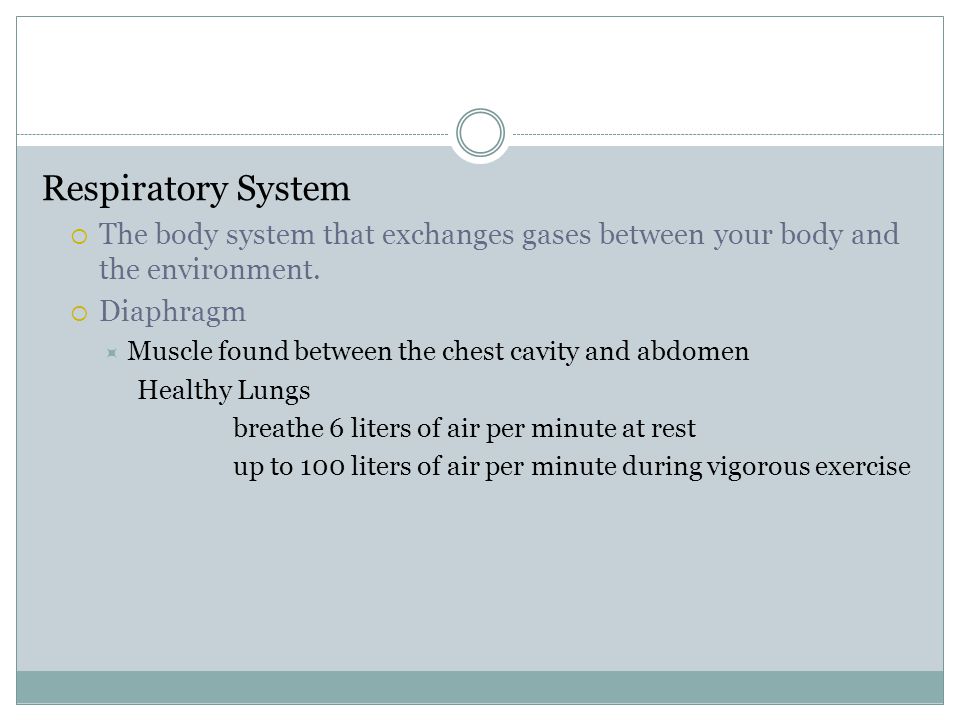 Respiratory System  The body system that exchanges gases between your body and the environment.