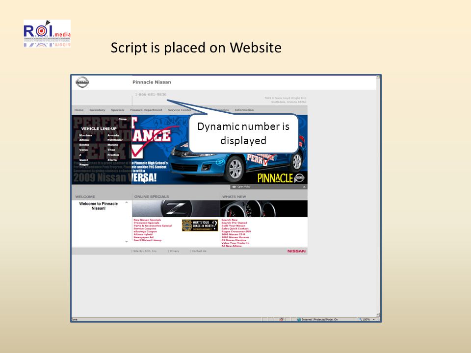 Script is placed on Website Dynamic number is displayed