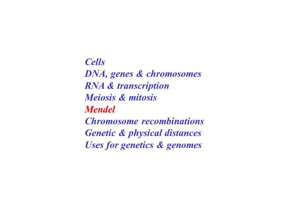 Cells DNA, genes & chromosomes RNA & transcription Meiosis & mitosis Mendel Chromosome recombinations Genetic & physical distances Uses for genetics & genomes